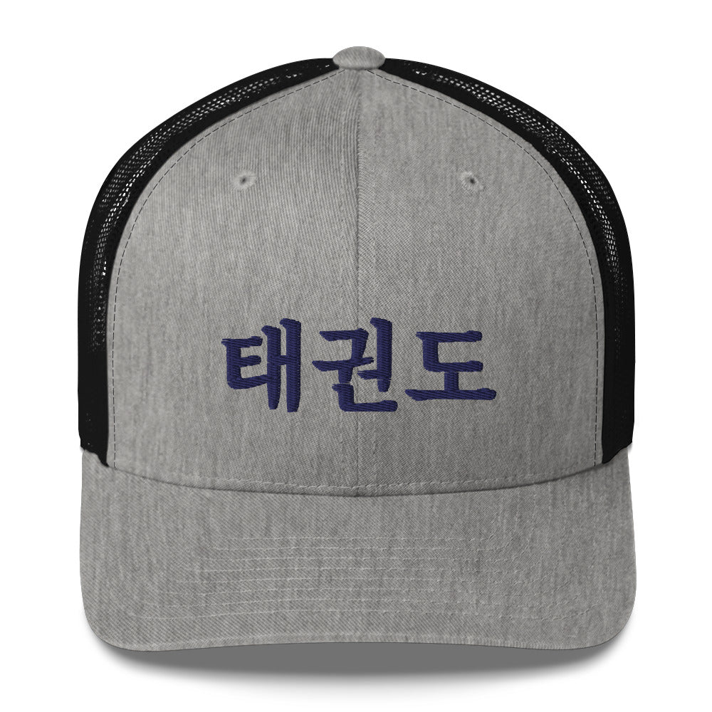 Taekwondo Theme Cap : Korean letter "TAEKWONDO"