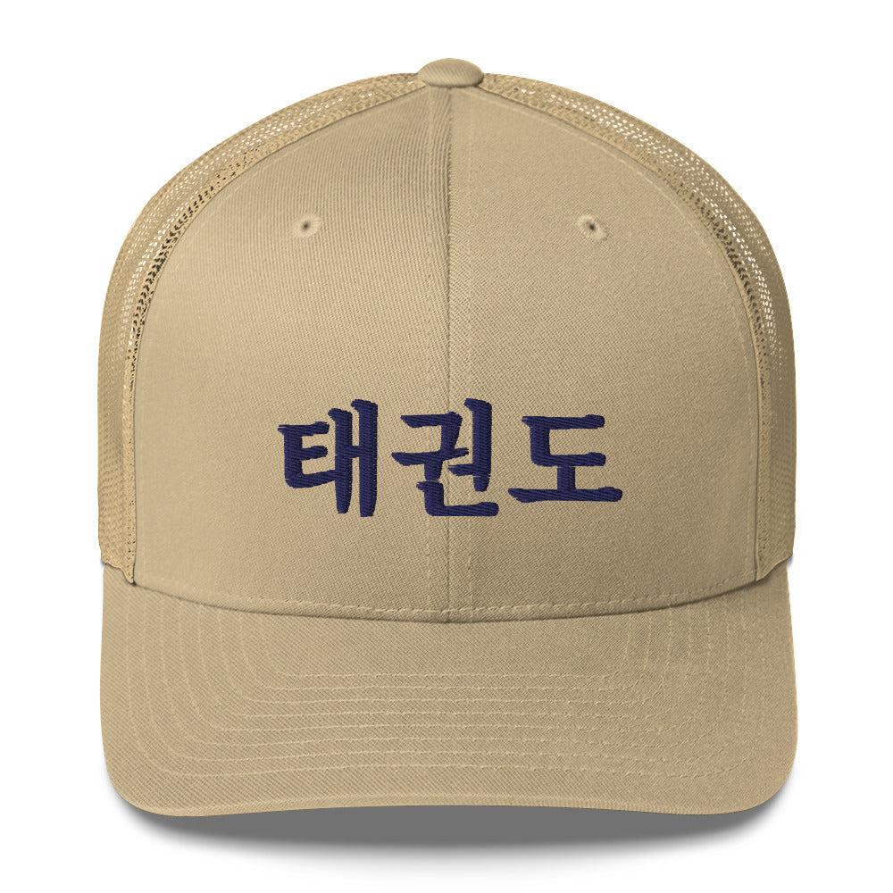 Taekwondo Theme Cap : Korean letter "TAEKWONDO"