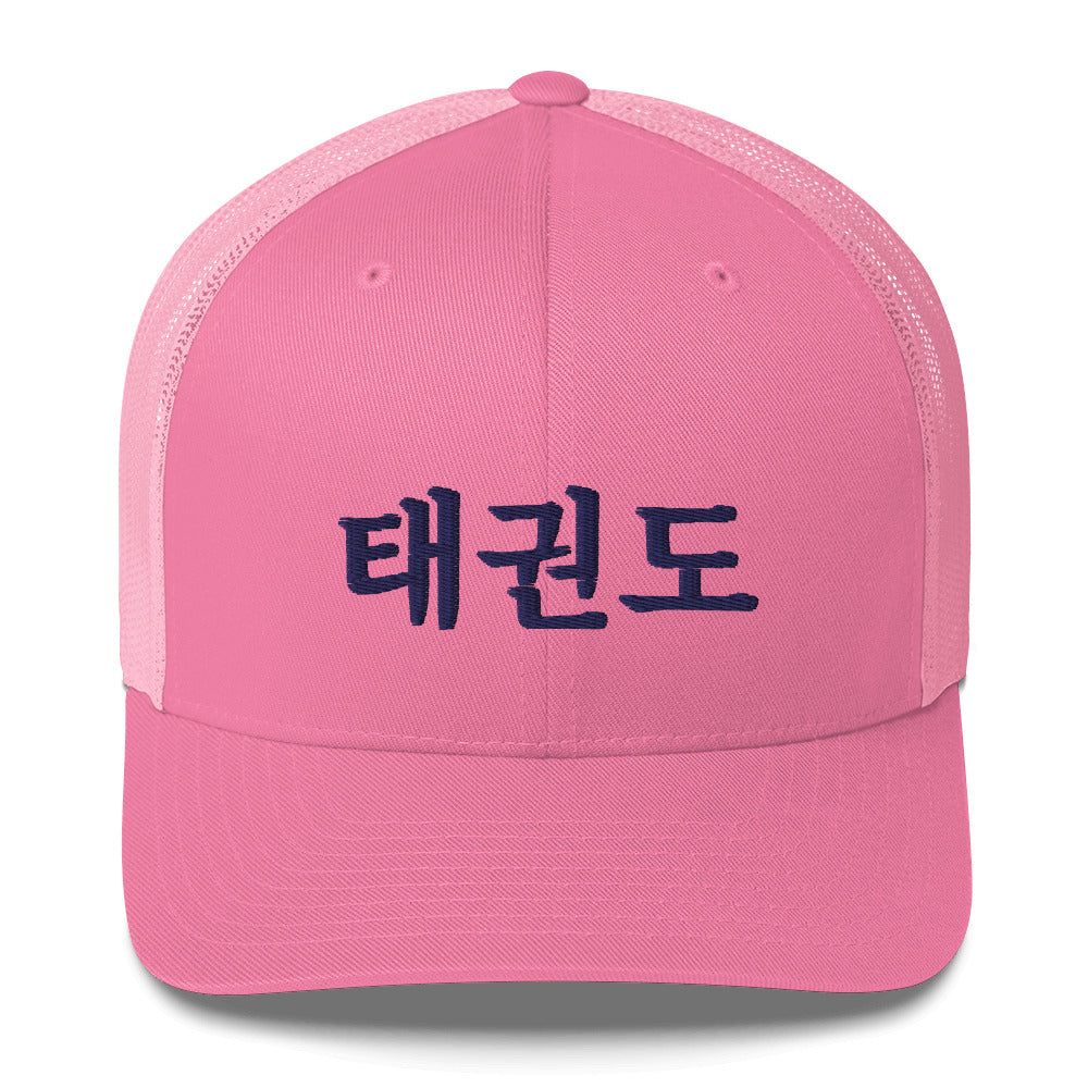 Taekwondo Theme Cap : Korean letter "TAEKWONDO"