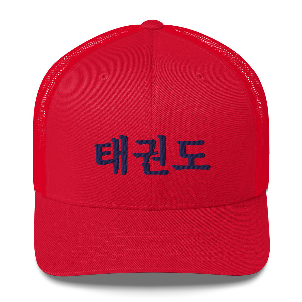 Taekwondo Theme Cap : Korean letter "TAEKWONDO"