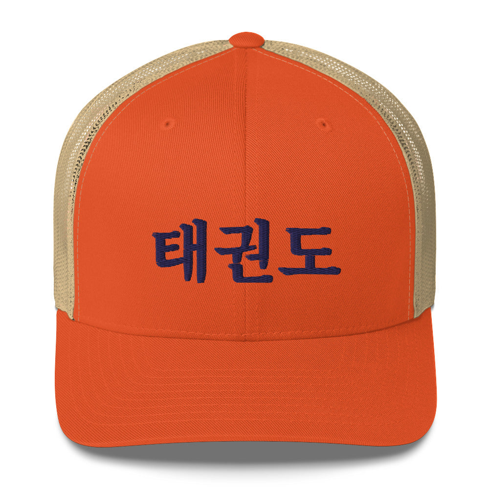 Taekwondo Theme Cap : Korean letter "TAEKWONDO"