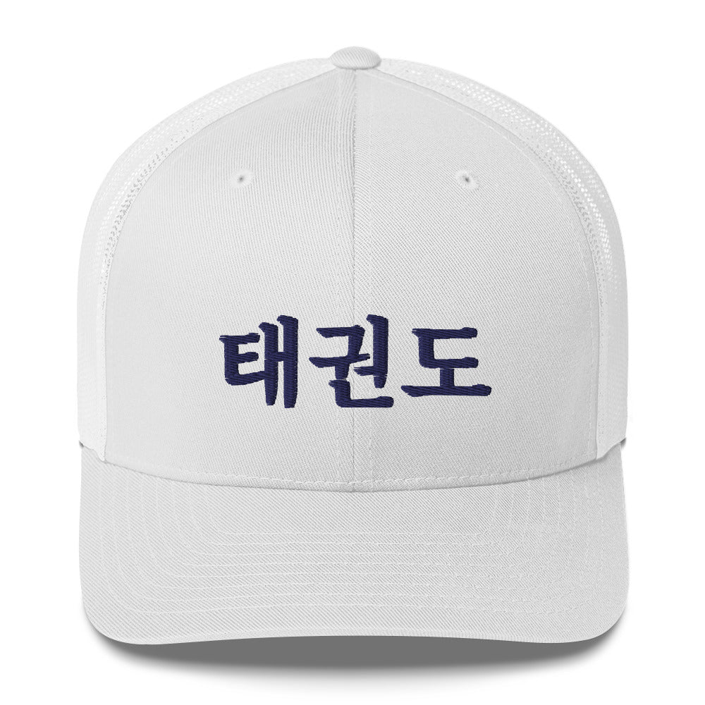 Taekwondo Theme Cap : Korean letter "TAEKWONDO"